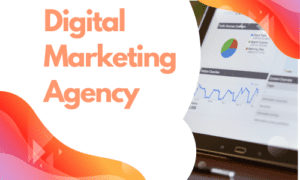 How Content is Important for SEO?