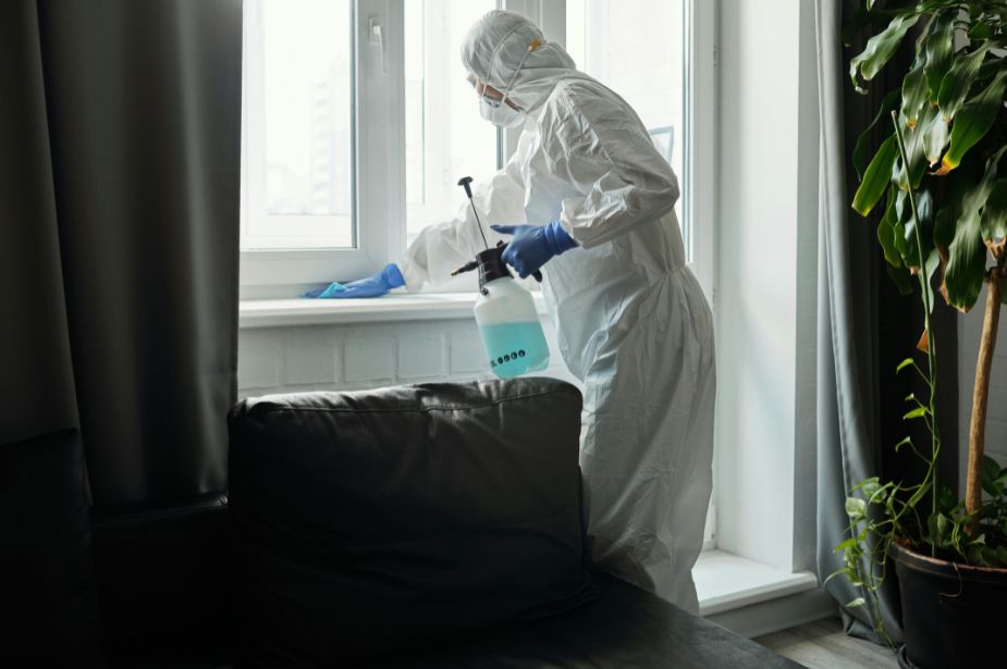 Marketing Agency for Pest Control in India