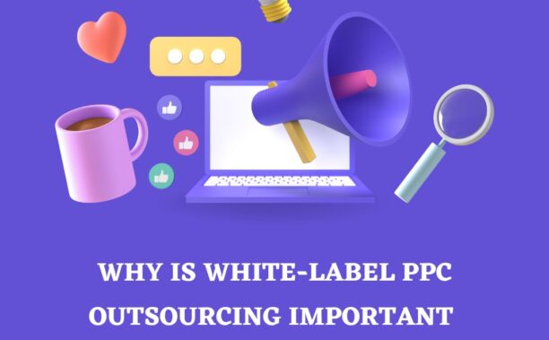 Read more about the article Why White Label PPC Outsourcing Important for Growing Agencies?
