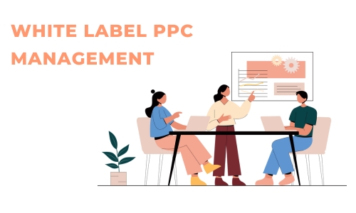 Read more about the article 6 Effective Strategies for Successful White Label PPC Management