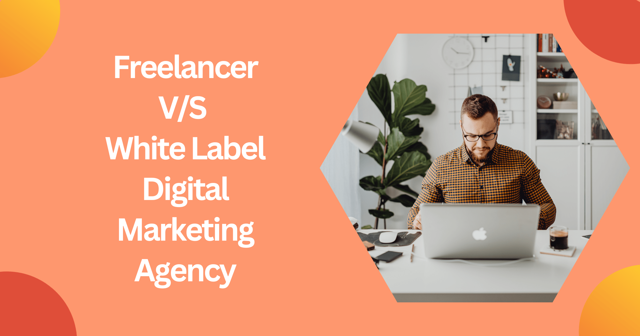 Read more about the article 5 Differences Between Hiring a Freelancer and a White Label Digital Marketing Agency
