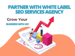 What is White Label SEO Services? White Label SEO Agency Guide – 2024